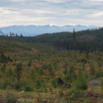 Nízké Tatry z Mengusovské doliny