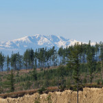 Západní Tatry